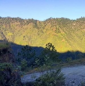 Meet your Posher, De łëón móřáłez